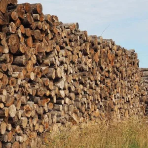 Camion de bois en grume – Hêtre, Chêne, Charme – 30 stères