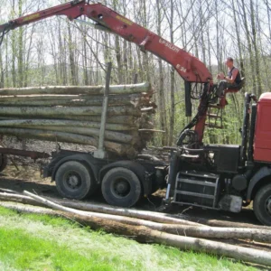 Camion de bois en grume – Châtaignier – 50 stères