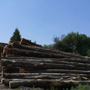 Camion de bois en grume – Hêtre, Chêne, Charme – 20 Stères