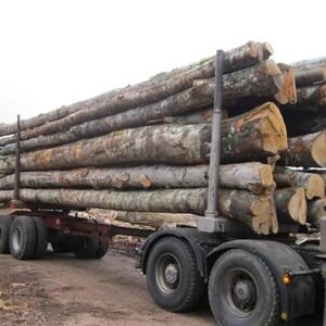 Camion de bois en grume – Hêtre, Chêne, Charme – 25 Stères