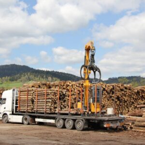 Camion de bois en grume – Hêtre, Chêne, Charme – 60 stères